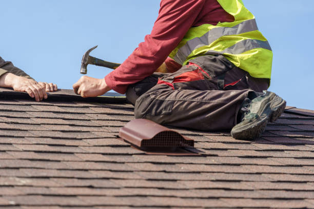 Best Storm Damage Roof Repair  in Tladega, AL
