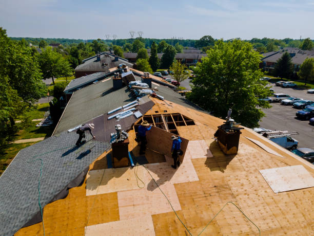 Quick and Trustworthy Emergency Roof Repair Services in Talladega, AL