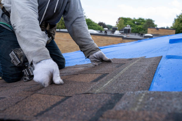 Best Commercial Roofing Services  in Tladega, AL