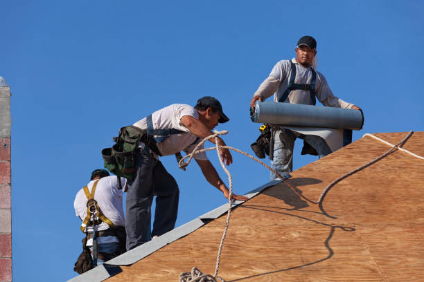 Best New Roof Installation  in Tladega, AL