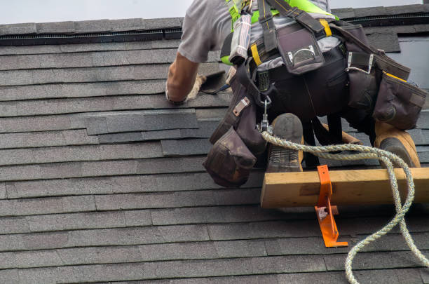 Best Storm Damage Roof Repair  in Tladega, AL