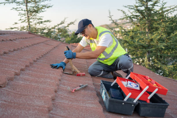Best Local Roofing Companies  in Tladega, AL
