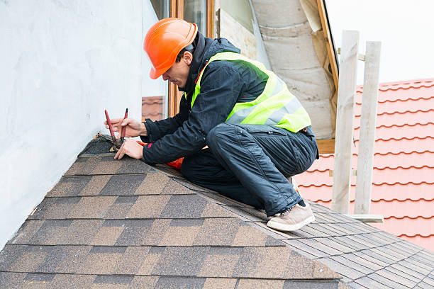 Best Roof Gutter Cleaning  in Tladega, AL
