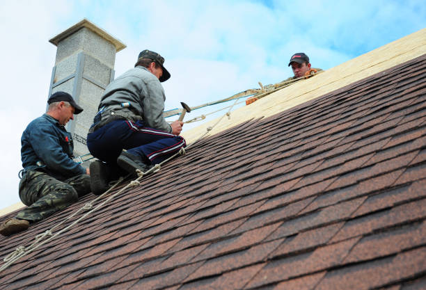 Best Roof Repair Estimates  in Tladega, AL